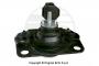 ID1095580_TBL7