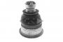 PN26484_ID19004